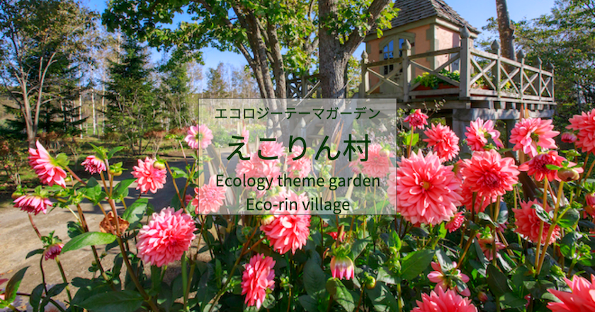 北海道 ガーデンフェスタカード2022 No.01えこりん村 銀河庭園