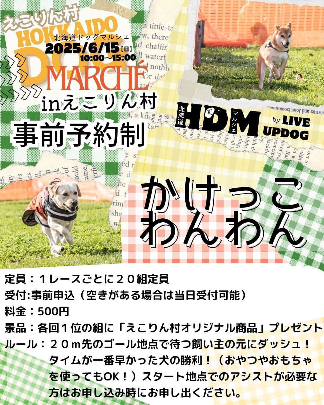 img20250606131800977864.jpg