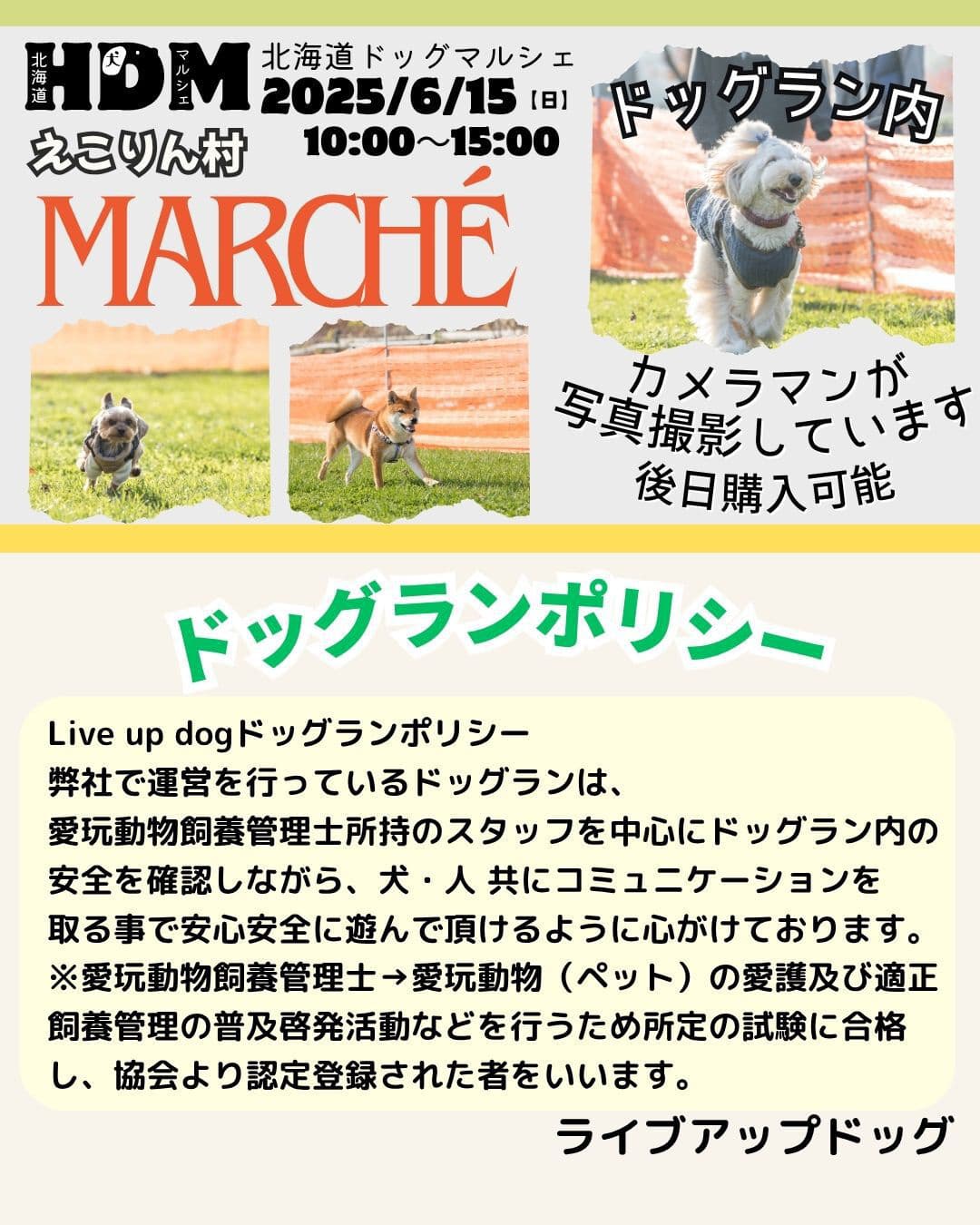 img20250606132244954095.jpg