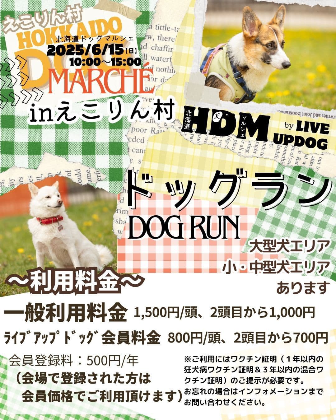 img20250606132244954781.jpg
