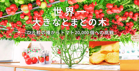 img20250818131341923317.jpg