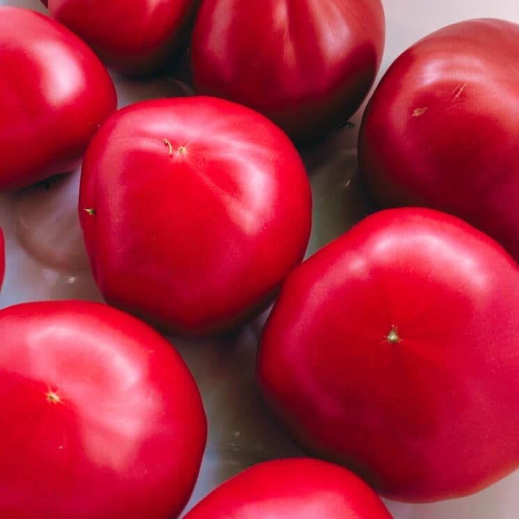 2025041502tomato.jpg